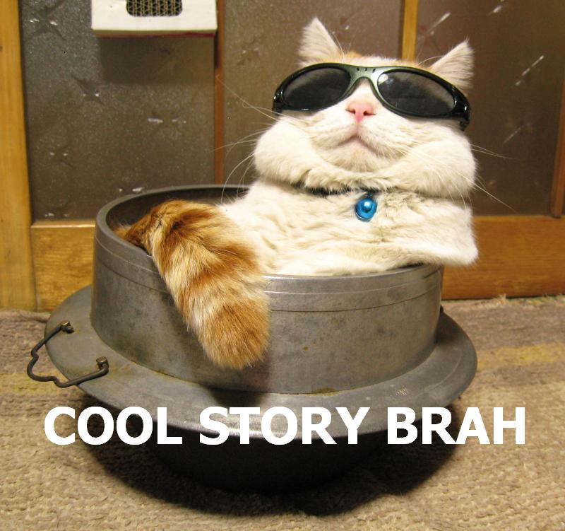 Coolstorybrahcat.jpg